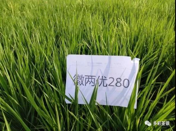 微信圖片_20200721102422.jpg 微信圖片_20200721102422.jpg